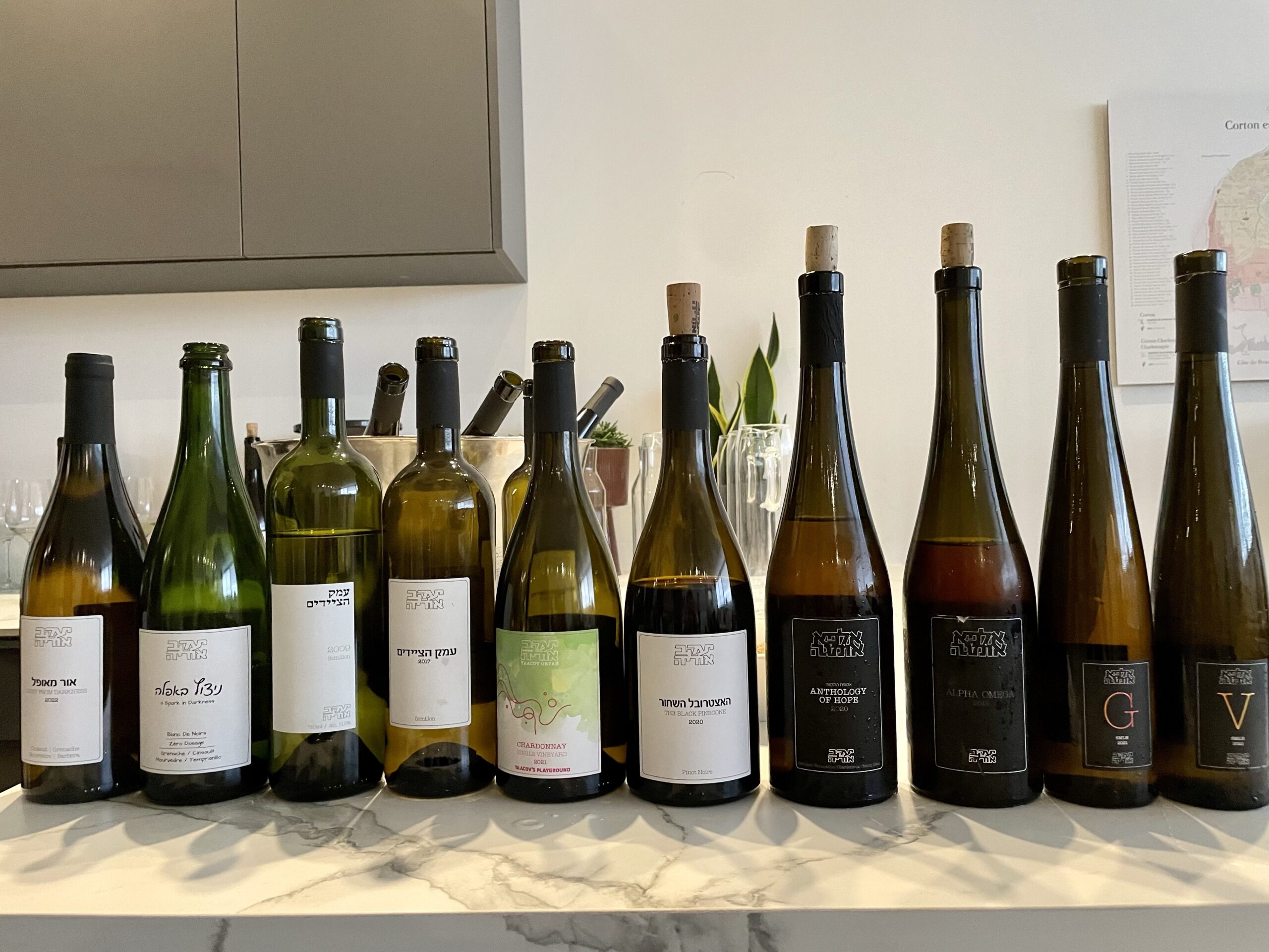 Ya'acov Oryah's 2022 Releases Kosher Wine Unfiltered