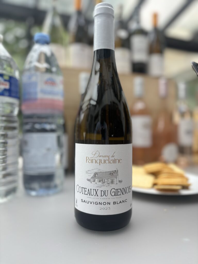 2023 Domaine de Panquelaine, Coteaux du Giennois, Sauvignon Blanc;
